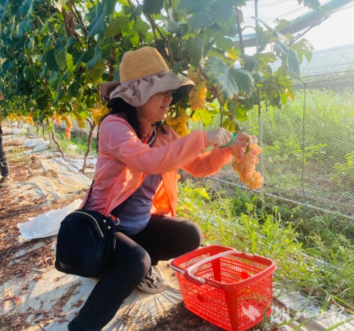 无需申请即送28元彩金